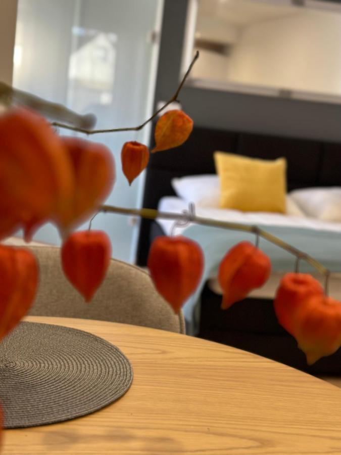 Studio Apartman Кёсег Экстерьер фото